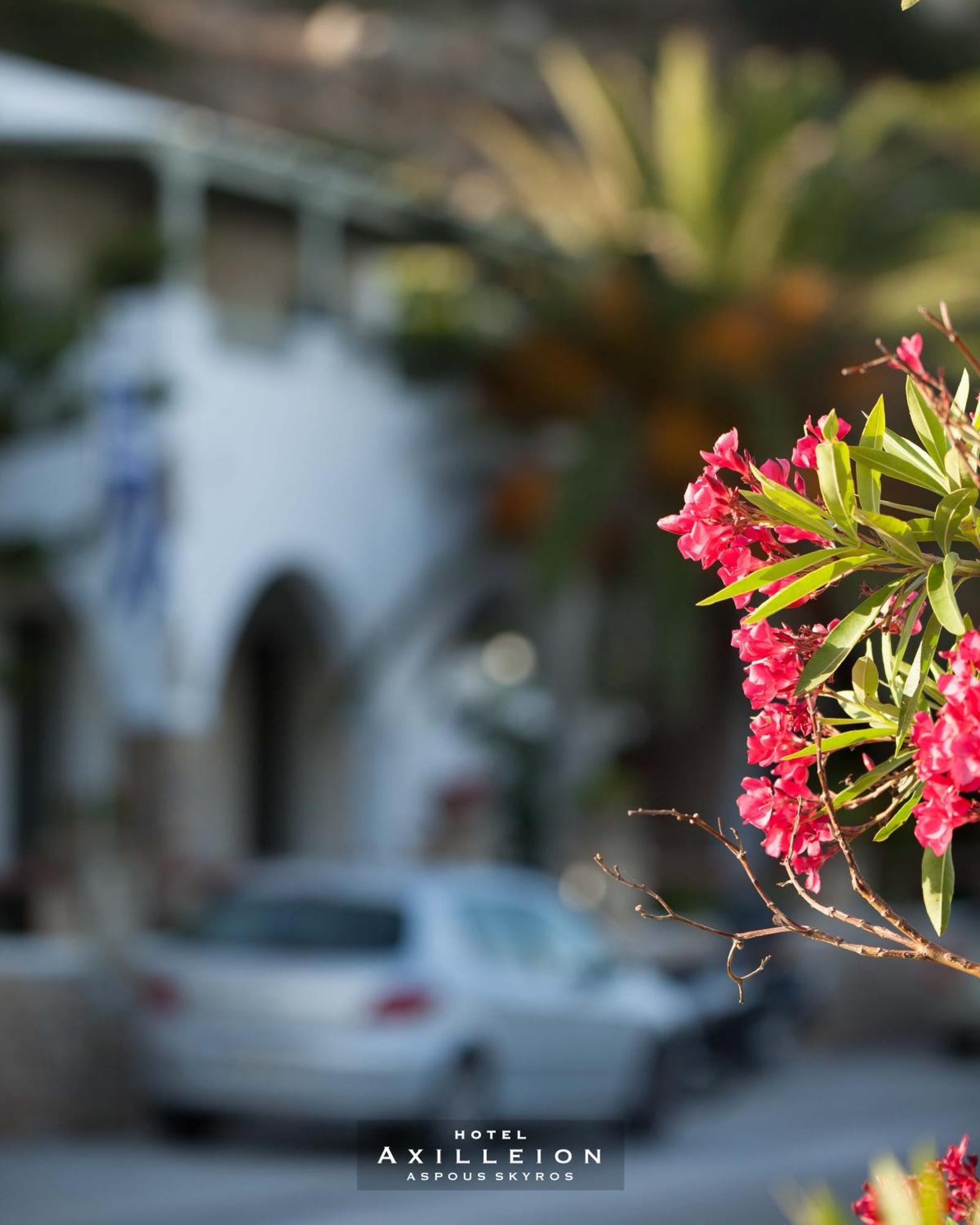 Achilleion Hotel سكيروس المظهر الخارجي الصورة